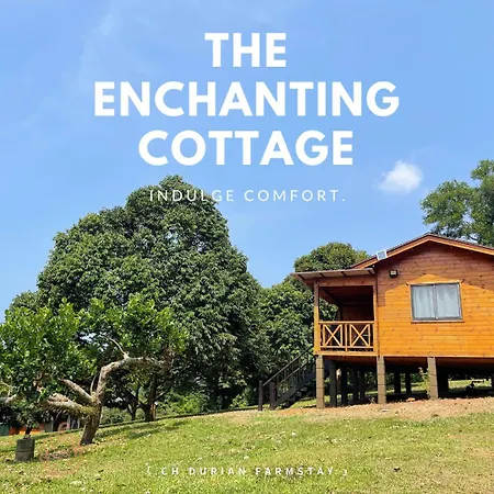 Ch Durian Farmstay